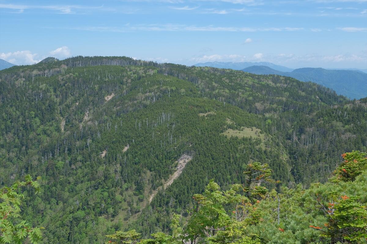 登山ガイド・自然解説員と行く　「温泉ヶ岳・根名草山縦走と奥鬼怒温泉1泊の旅　ツアー開催