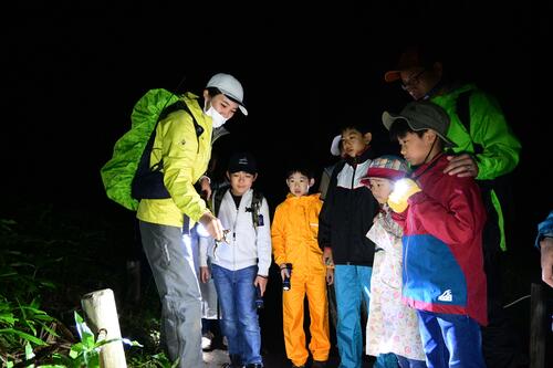 【令和6年8月毎土曜日（31日を除く）　原始の夜に浸る】戦場ヶ原ナイトハイキング