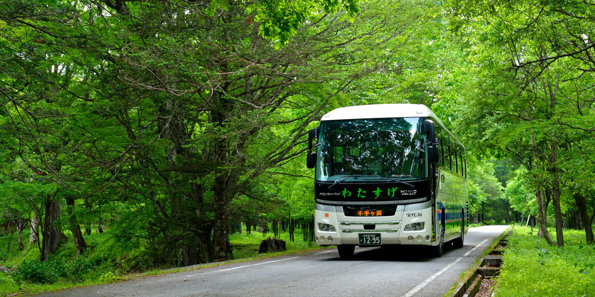 Low Emission Bus